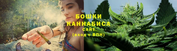 PSILOCYBIN Балахна